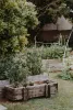 Small herb garden
